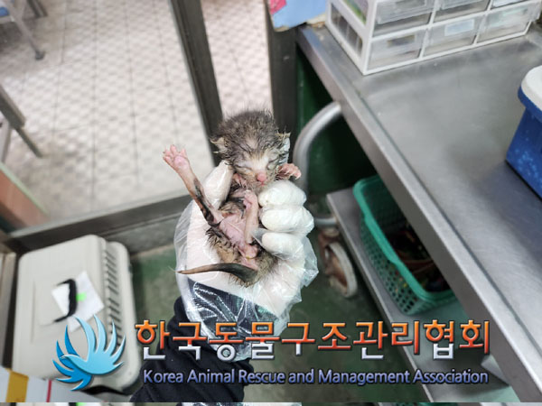 한국동물구조관리협회_411305202300213